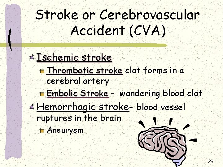 Stroke or Cerebrovascular Accident (CVA) Ischemic stroke Thrombotic stroke clot forms in a cerebral