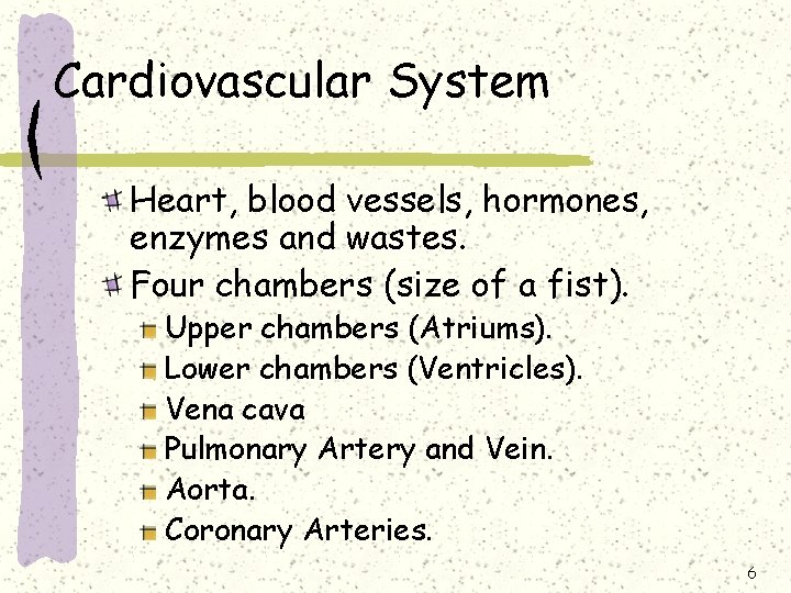 Cardiovascular System Heart, blood vessels, hormones, enzymes and wastes. Four chambers (size of a