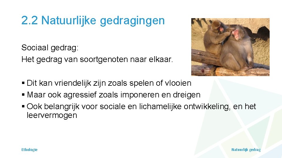 2. 2 Natuurlijke gedragingen Sociaal gedrag: Het gedrag van soortgenoten naar elkaar. § Dit