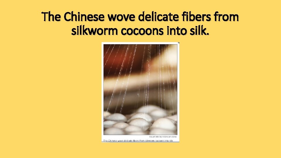 The Chinese wove delicate fibers from silkworm cocoons into silk. 