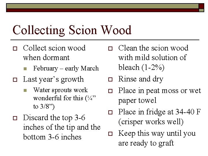 Collecting Scion Wood o Collect scion wood when dormant n o o February –
