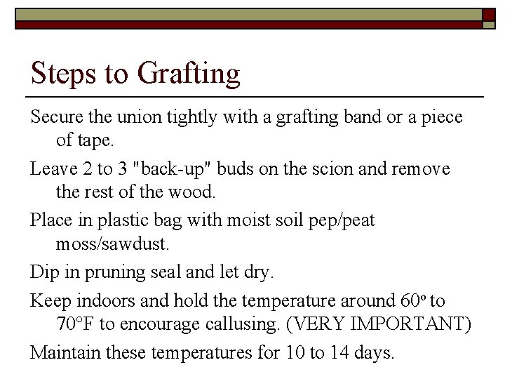 Steps to Grafting Secure the union tightly with a grafting band or a piece