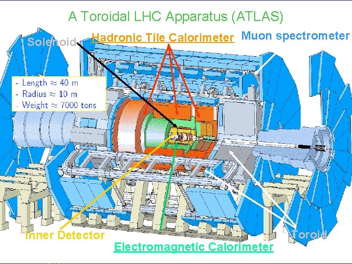 A Toroidal LHC Apparatus (ATLAS) Solenoid Hadronic Tile Calorimeter Muon spectrometer Inner Detector PPC