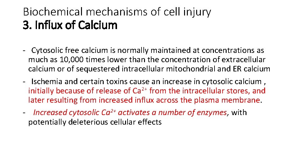 Biochemical mechanisms of cell injury 3. Influx of Calcium - Cytosolic free calcium is