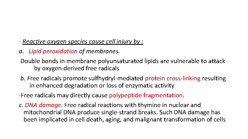 - Reactive oxygen species cause cell injury by : a. Lipid peroxidation of membranes.