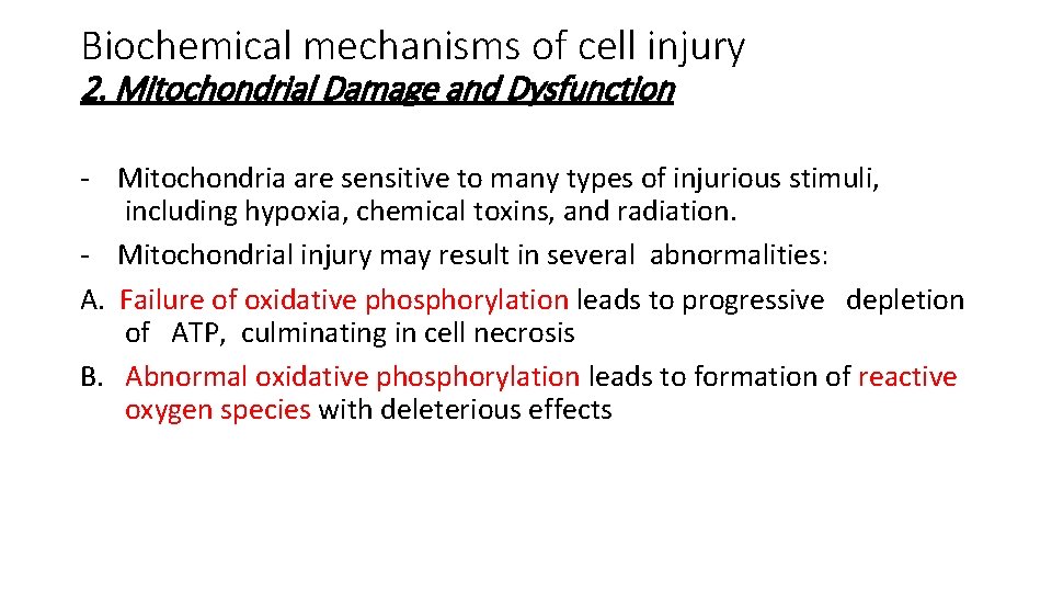 Biochemical mechanisms of cell injury 2. Mitochondrial Damage and Dysfunction - Mitochondria are sensitive