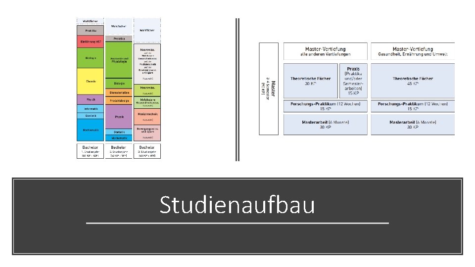 Studienaufbau 