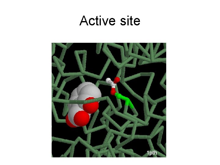 Active site 1 pth 