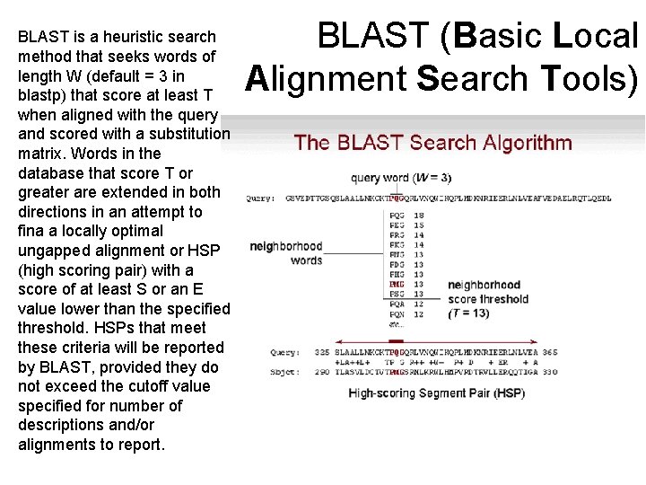 BLAST is a heuristic search method that seeks words of length W (default =