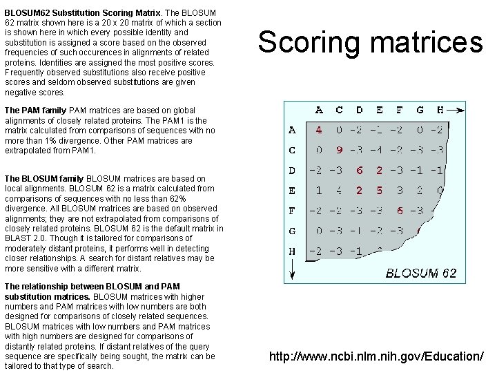 BLOSUM 62 Substitution Scoring Matrix. The BLOSUM 62 matrix shown here is a 20