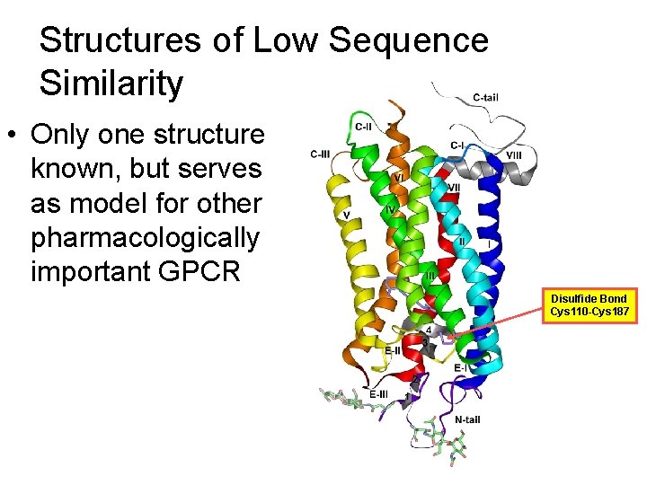 Structures of Low Sequence Similarity • Only one structure known, but serves as model