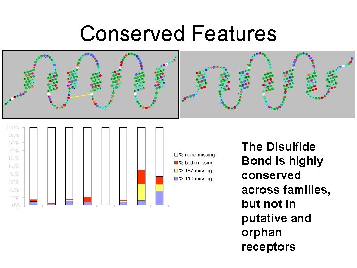 Conserved Features The Disulfide Bond is highly conserved across families, but not in putative