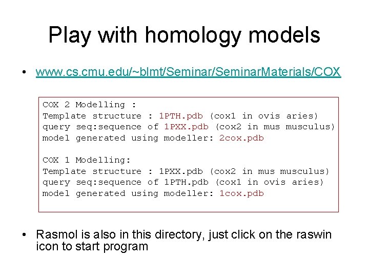 Play with homology models • www. cs. cmu. edu/~blmt/Seminar. Materials/COX 2 Modelling : Template