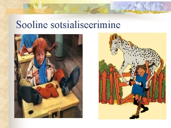 Sooline sotsialiseerimine 