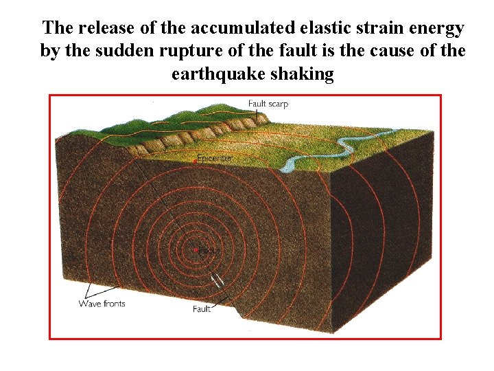 The release of the accumulated elastic strain energy by the sudden rupture of the