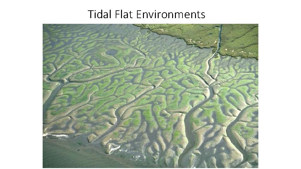 Tidal Flat Environments 