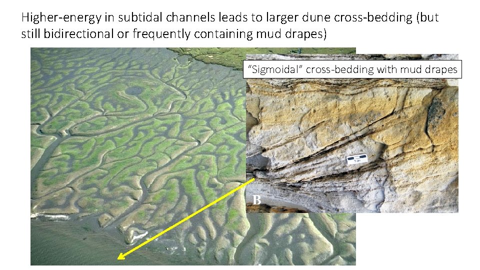 Higher-energy in subtidal channels leads to larger dune cross-bedding (but still bidirectional or frequently