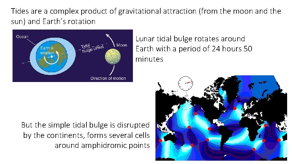 Tides are a complex product of gravitational attraction (from the moon and the sun)