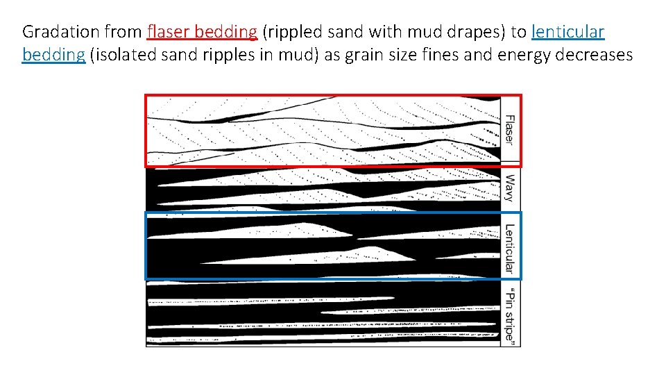 Gradation from flaser bedding (rippled sand with mud drapes) to lenticular bedding (isolated sand