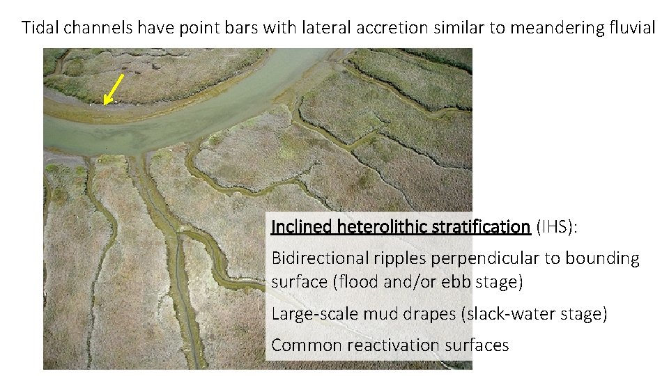 Tidal channels have point bars with lateral accretion similar to meandering fluvial Inclined heterolithic