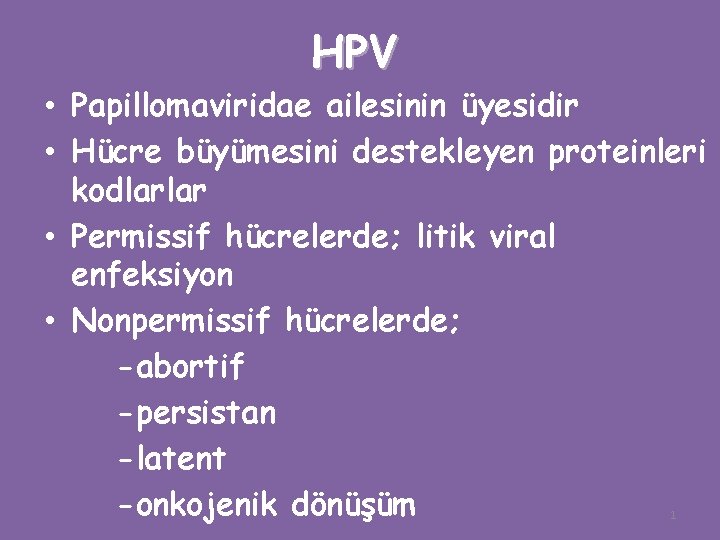 HPV • Papillomaviridae ailesinin üyesidir • Hücre büyümesini destekleyen proteinleri kodlarlar • Permissif hücrelerde;