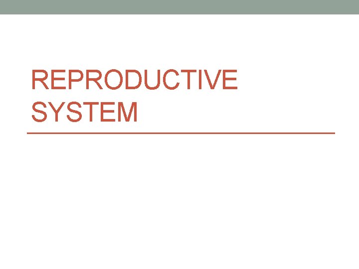 REPRODUCTIVE SYSTEM 