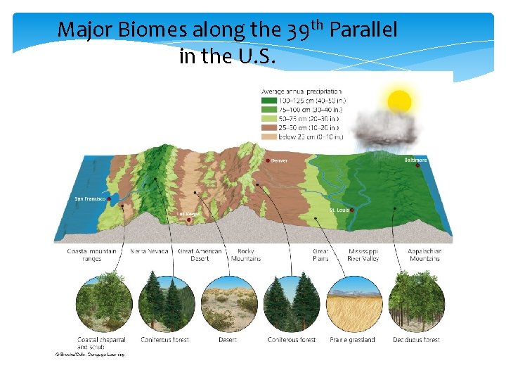 Major Biomes along the 39 th Parallel in the U. S. 