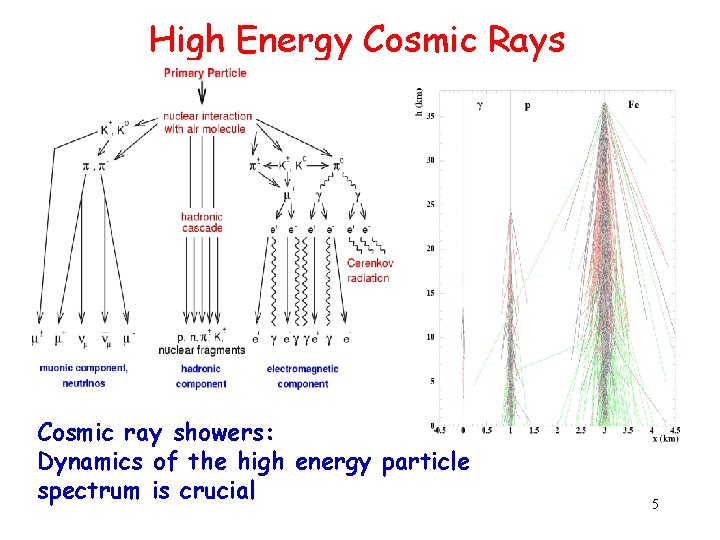 High Energy Cosmic Rays Cosmic ray showers: Dynamics of the high energy particle spectrum
