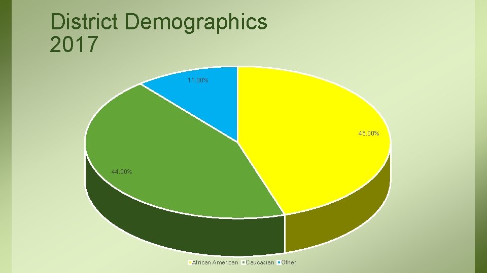 District Demographics 2017 11. 00% 45. 00% 44. 00% African American Caucasian Other 