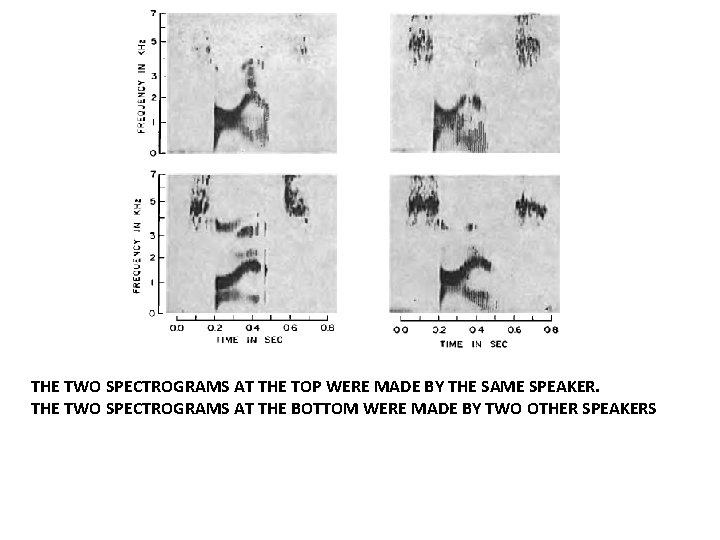 THE TWO SPECTROGRAMS AT THE TOP WERE MADE BY THE SAME SPEAKER. THE TWO