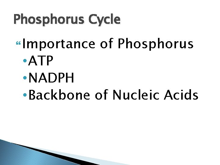 Phosphorus Cycle Importance of Phosphorus • ATP • NADPH • Backbone of Nucleic Acids Phosphorus Cycle Importance of Phosphorus • ATP • NADPH • Backbone of Nucleic Acids