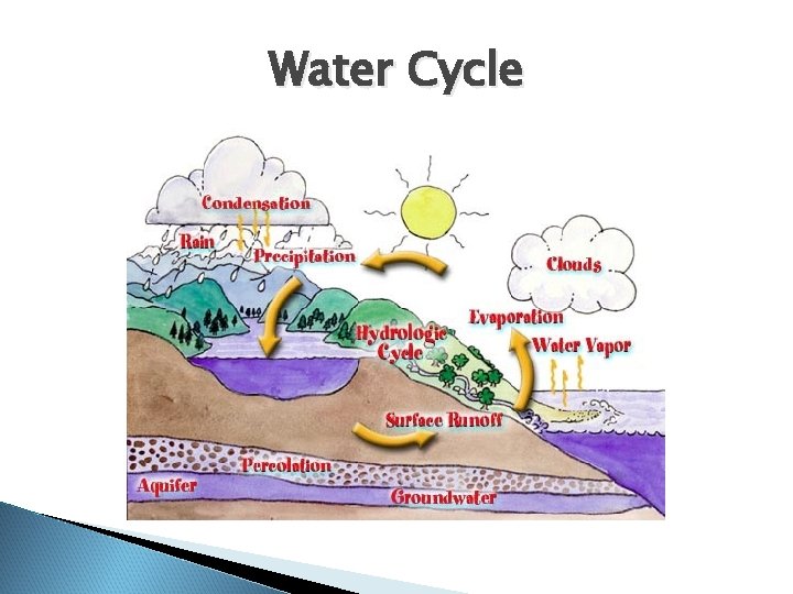Water Cycle Water Cycle