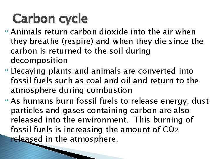 Carbon cycle Animals return carbon dioxide into the air when they breathe (respire) and Carbon cycle Animals return carbon dioxide into the air when they breathe (respire) and