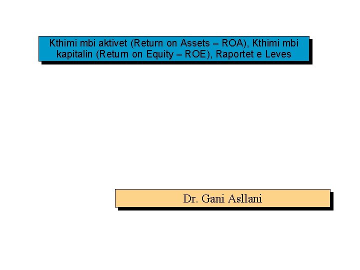 Kthimi mbi aktivet (Return on Assets – ROA), Kthimi mbi kapitalin (Return on Equity