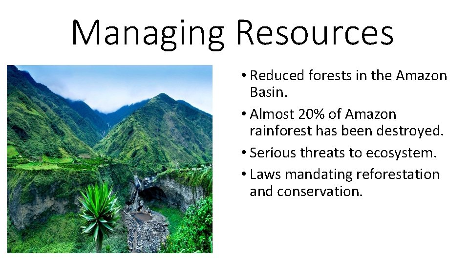 Managing Resources • Reduced forests in the Amazon Basin. • Almost 20% of Amazon