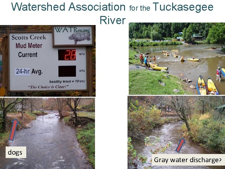 Watershed Association for the Tuckasegee River dogs Gray water discharge? 