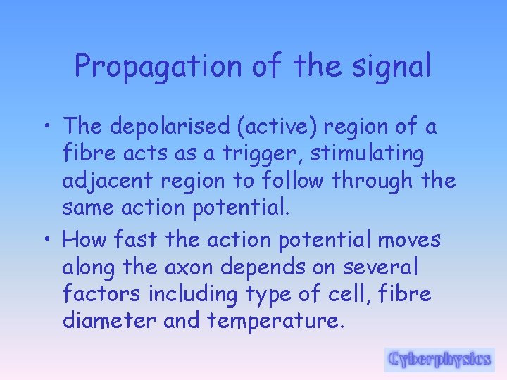 Propagation of the signal • The depolarised (active) region of a fibre acts as