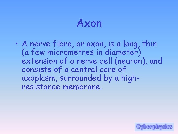 Axon • A nerve fibre, or axon, is a long, thin (a few micrometres