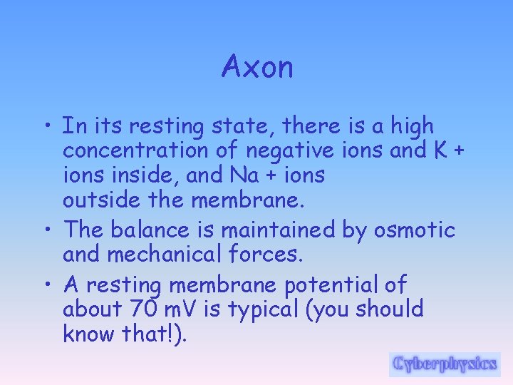 Axon • In its resting state, there is a high concentration of negative ions