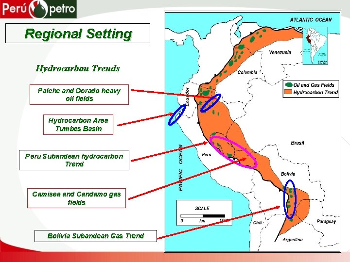Regional Setting Hydrocarbon Trends Paiche and Dorado heavy oil fields Hydrocarbon Area Tumbes Basin