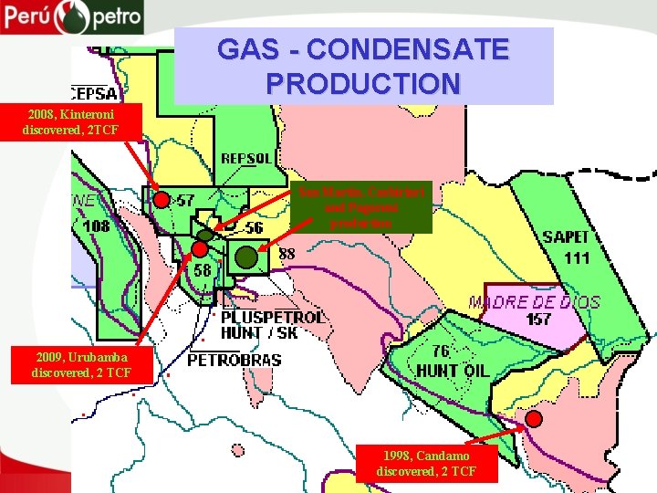 GAS - CONDENSATE PRODUCTION 2008, Kinteroni discovered, 2 TCF San Martin, Cashiriari and Pagoreni