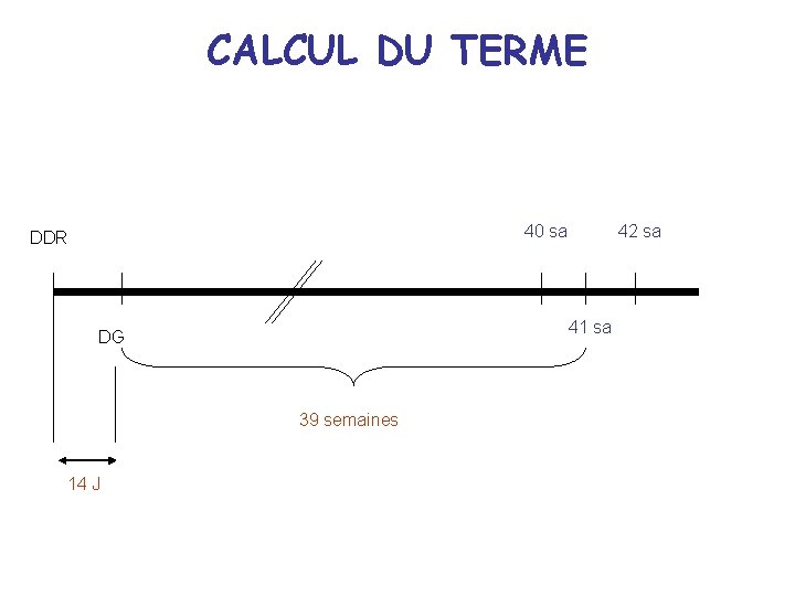 CALCUL DU TERME 40 sa DDR 41 sa DG 39 semaines 14 J 42