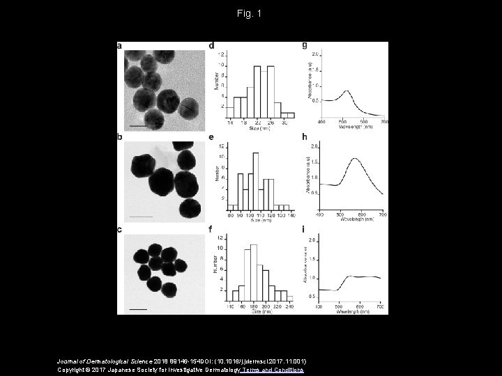 Fig. 1 Journal of Dermatological Science 2018 89146 -154 DOI: (10. 1016/j. jdermsci. 2017.