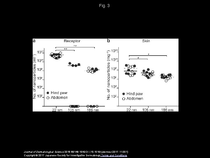 Fig. 3 Journal of Dermatological Science 2018 89146 -154 DOI: (10. 1016/j. jdermsci. 2017.