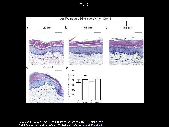 Fig. 6 Journal of Dermatological Science 2018 89146 -154 DOI: (10. 1016/j. jdermsci. 2017.