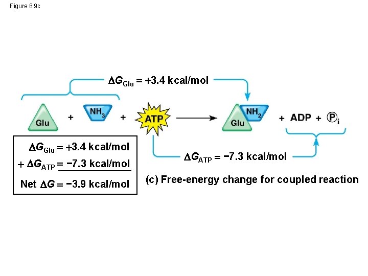 Figure 6. 9 c GGlu 3. 4 kcal/mol GATP − 7. 3 kcal/mol Net