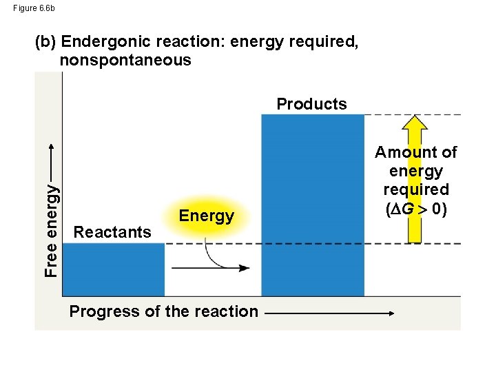 Figure 6. 6 b (b) Endergonic reaction: energy required, nonspontaneous Free energy Products Reactants