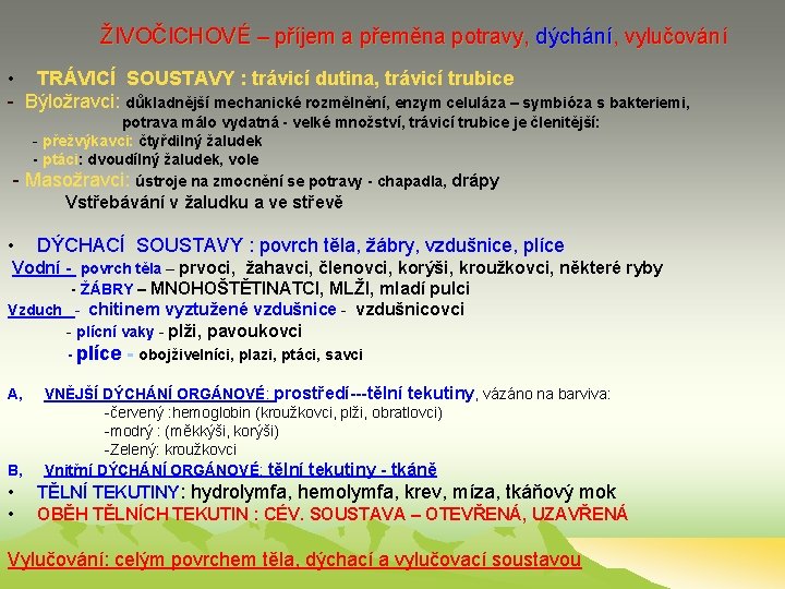ŽIVOČICHOVÉ – příjem a přeměna potravy, dýchání, vylučování • TRÁVICÍ SOUSTAVY : trávicí dutina, ŽIVOČICHOVÉ – příjem a přeměna potravy, dýchání, vylučování • TRÁVICÍ SOUSTAVY : trávicí dutina,