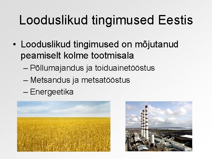 Looduslikud tingimused Eestis • Looduslikud tingimused on mõjutanud peamiselt kolme tootmisala – Põllumajandus ja