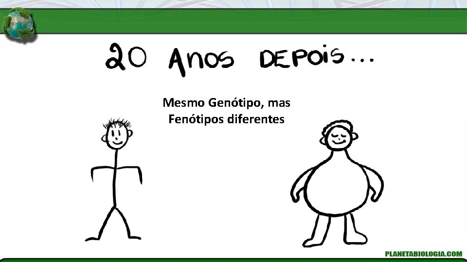 Mesmo Genótipo, mas Fenótipos diferentes 